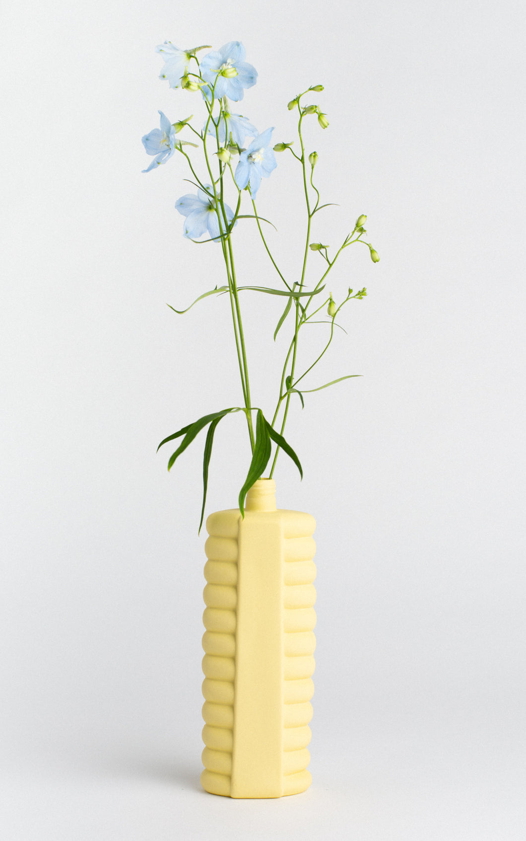 Vaso in Porcellana #10 Fresh Yellow - Foekje Fleur